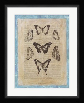 Framed Bookplate Butterflies III Print