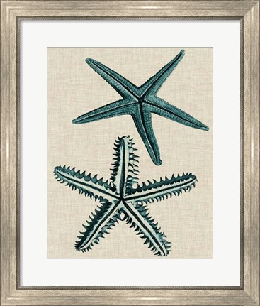 Framed Coastal Starfish I Print