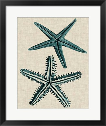 Framed Coastal Starfish I Print