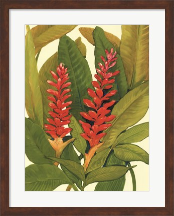 Framed Tropical Red Ginger Print