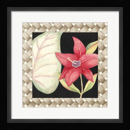 Framed Midnight Garden II Print