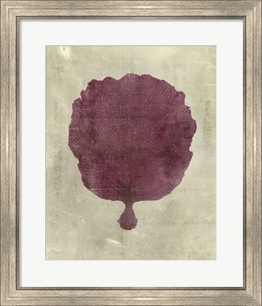Framed Coral in Plum Print