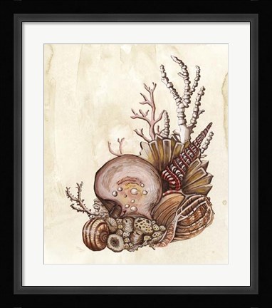 Framed Baroque Nautilus I Print