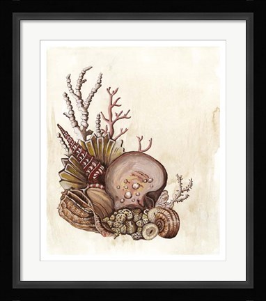 Framed Baroque Nautilus III Print
