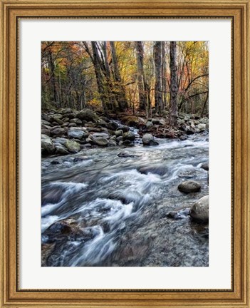 Framed Porter&#39;s Creek I Print
