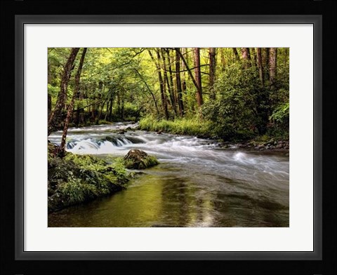 Framed Sunlight on Jake's Creek I Print