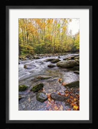 Framed Roaring Waters III Print