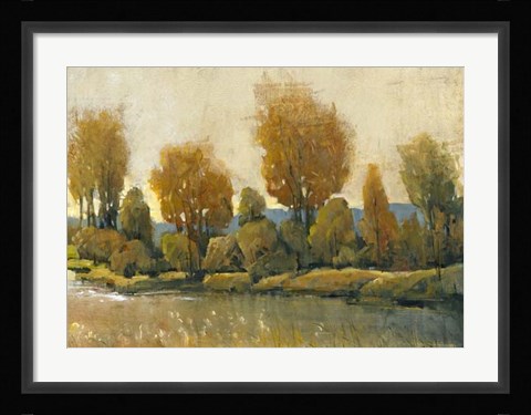Framed Creek Side II Print
