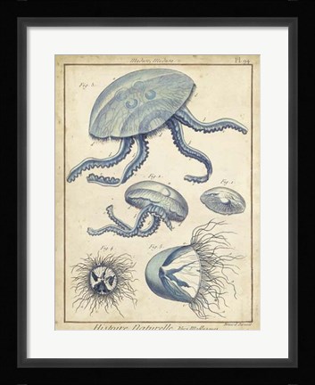 Framed Medusa II Print