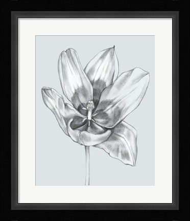 Framed Silvery Blue Tulips II Print
