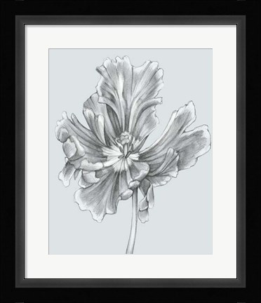 Framed Silvery Blue Tulips III Print