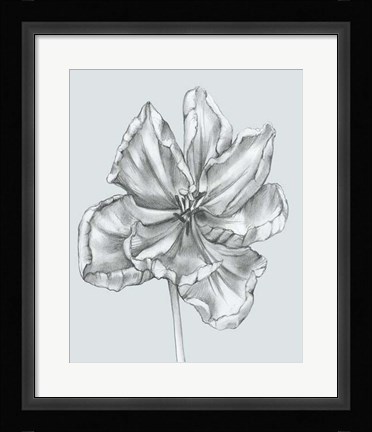 Framed Silvery Blue Tulips IV Print