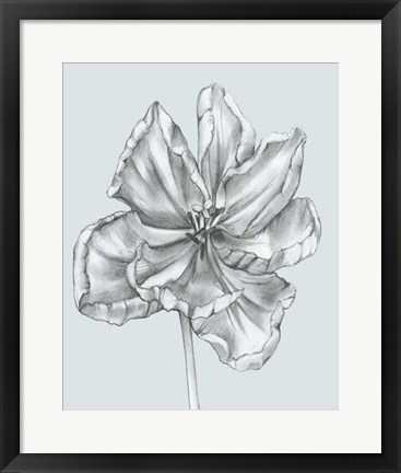 Framed Silvery Blue Tulips IV Print
