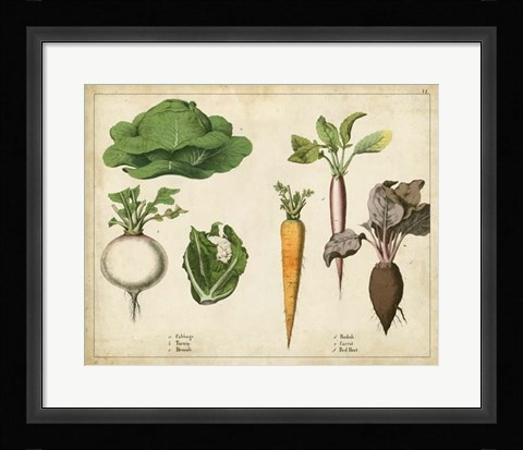 Framed Kitchen Vegetables &amp; Roots I Print