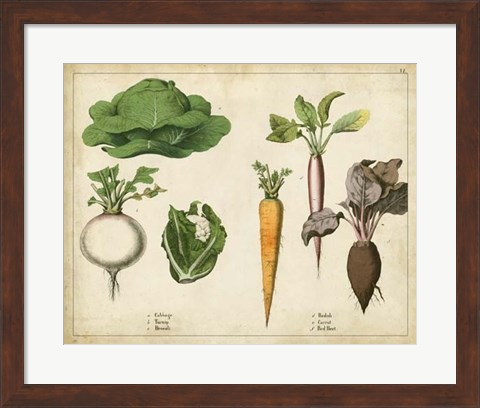 Framed Kitchen Vegetables &amp; Roots I Print
