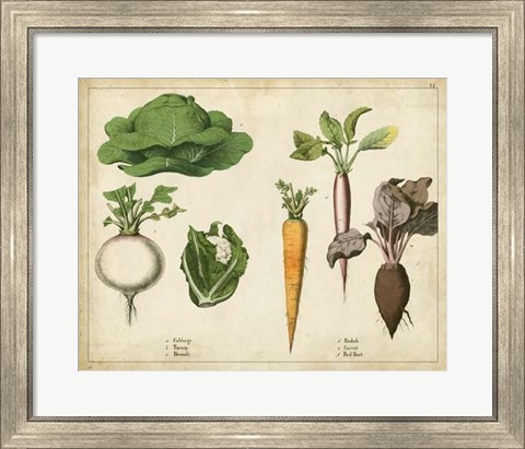 Framed Kitchen Vegetables &amp; Roots I Print