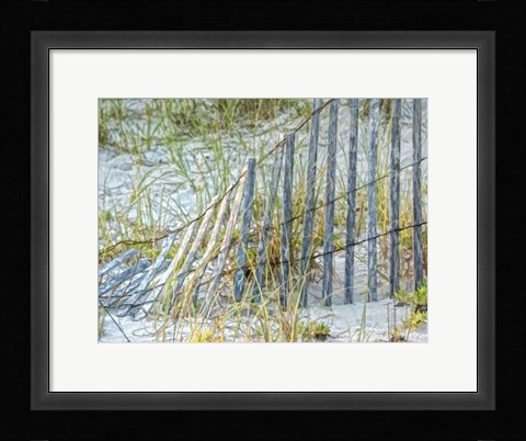 Framed Sea Oats II Print