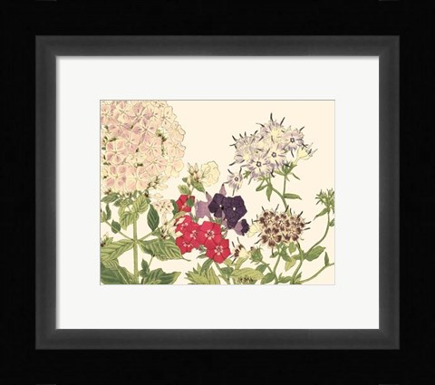 Framed Small Japanese Flower Garden II Print