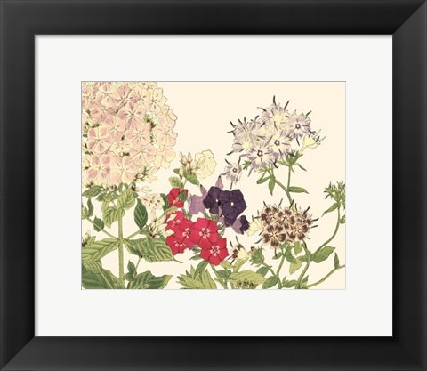 Framed Small Japanese Flower Garden II Print