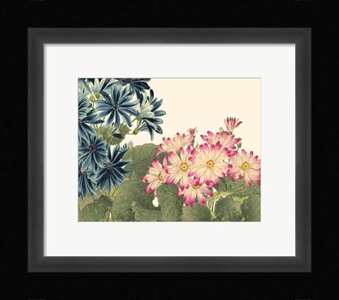 Framed Small Japanese Flower Garden IV Print