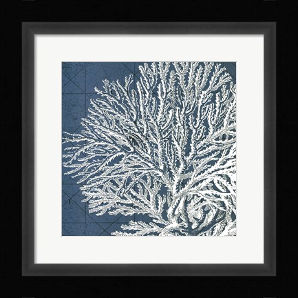 Framed Coastal Menagerie I Print