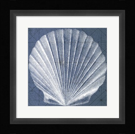 Framed Coastal Menagerie V Print