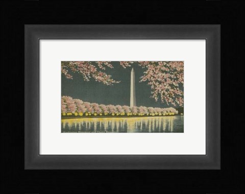 Framed Washington Monument at Night Print