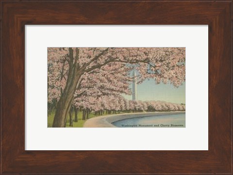 Framed Wash. Monument &amp; Cherry Blossoms Print