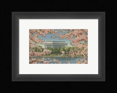 Framed Lincoln Memorial &amp; Cherry Blossoms Print