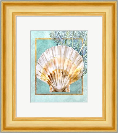 Framed Scallop Shell and Coral Print