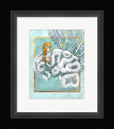 Framed Coral and Seahorse Print