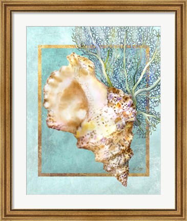Framed Conch Shell and Coral Print
