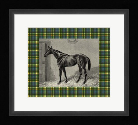 Framed Equestrian Plaid II Print