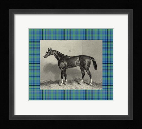 Framed Equestrian Plaid IV Print