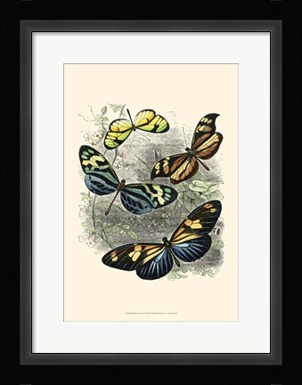 Framed Butterfly Sanctuary I Print