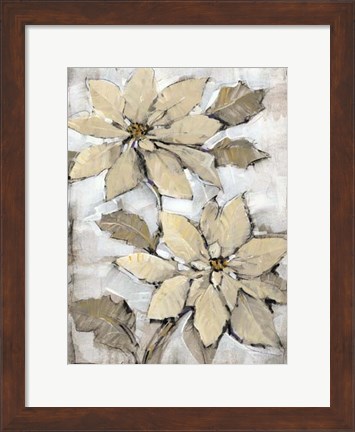 Framed Poinsettia Study II Print