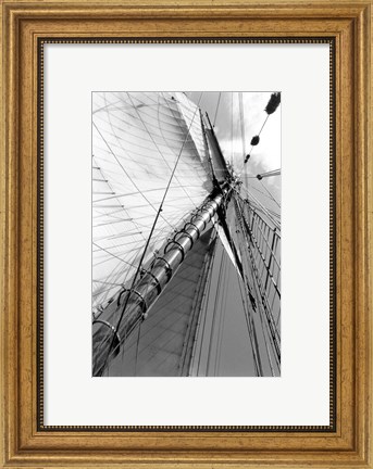 Framed Set Sail II Print