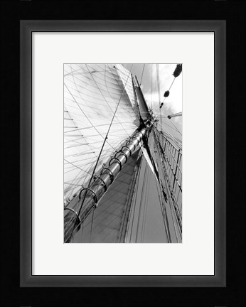 Framed Set Sail II Print
