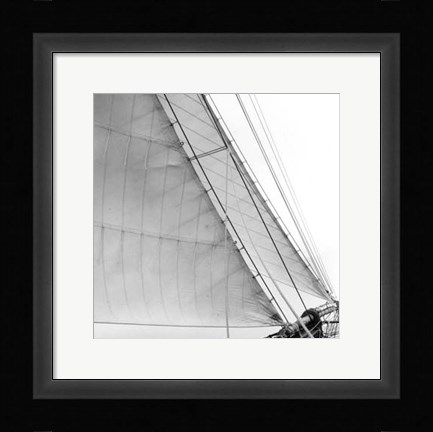Framed Undersail I Print