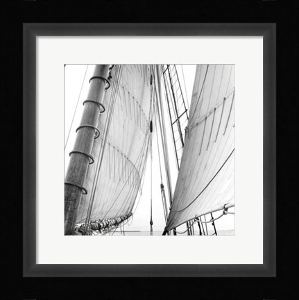 Framed Undersail II Print