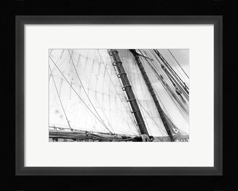 Framed Undersail III Print
