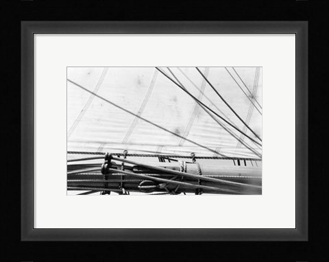 Framed Undersail IV Print
