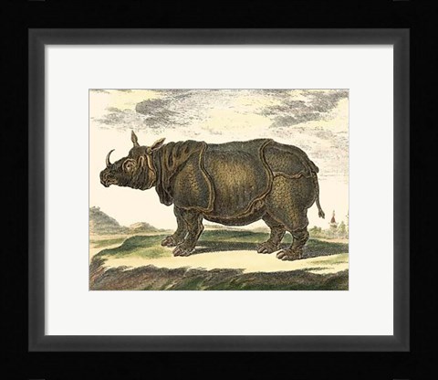 Framed Rhino Print