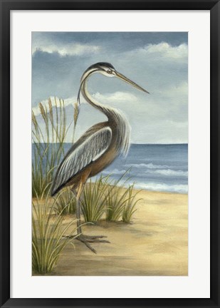 Framed Shore Bird I Print