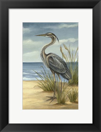 Framed Shore Bird II Print