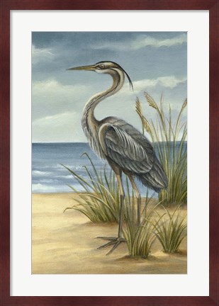 Framed Shore Bird II Print