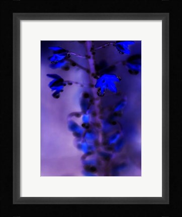 Framed Morning Rain III Print