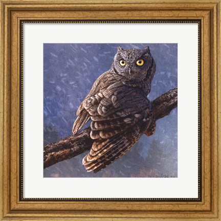 Framed Owl in Winter I Print