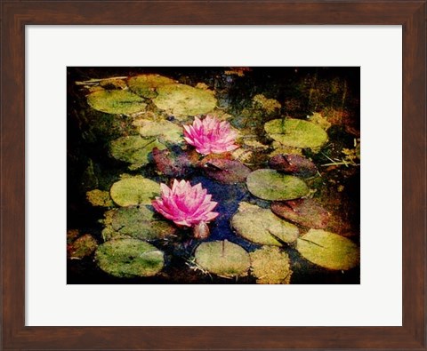 Framed Lily Ponds I Print