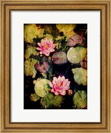 Framed Lily Ponds VI Print